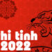 tit phitinh2022.jpg