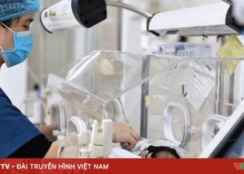 tre so sinh 29931282304883204526382 07393133014822396330500.png