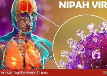 virus nipah 2png 1769457345700 53326919501990809144138 32494760588519828614454.jpg