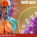 https://vtv.vn/infographic-cac-bien-phap-phong-chong-dich-benh-do-virus-nipah-100260130130027138.htm https://vtv.vn/infographic-cac-bien-phap-phong-chong-dich-benh-do-virus-nipah-100260130130027138.htm
