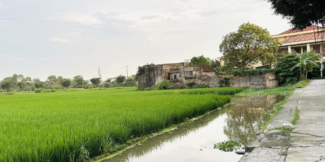 Xây nhà trên đất nông nghiệp bị thu hồi sổ đỏ: Có làm lại sổ được không? xay nha tren dat nong nghiep bi thu hoi so do co lam lai so duoc khong 4674.jpg