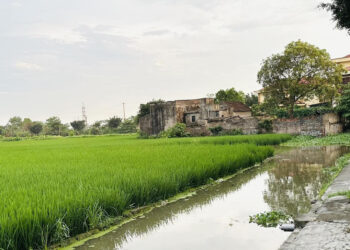 xay nha tren dat nong nghiep bi thu hoi so do co lam lai so duoc khong 4674.jpg