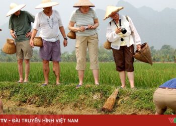 03 32348749527506610757309 22526846351579240764315.jpg