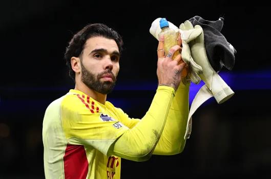 David Raya được khen ngợi sau trận thắng Tottenham 3 2302173251.png