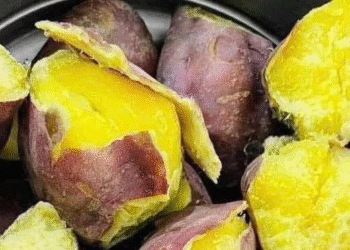 3 loai cu sieng an khong lo tuoi gia ap den 2120.png