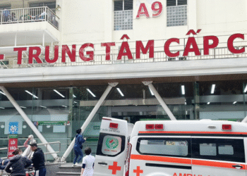 4 bệnh hay gặp trong ngày Tết và cách ứng phó để tránh nhập viện 4 benh hay gap trong ngay tet va cach ung pho de tranh nhap vien 2796.png