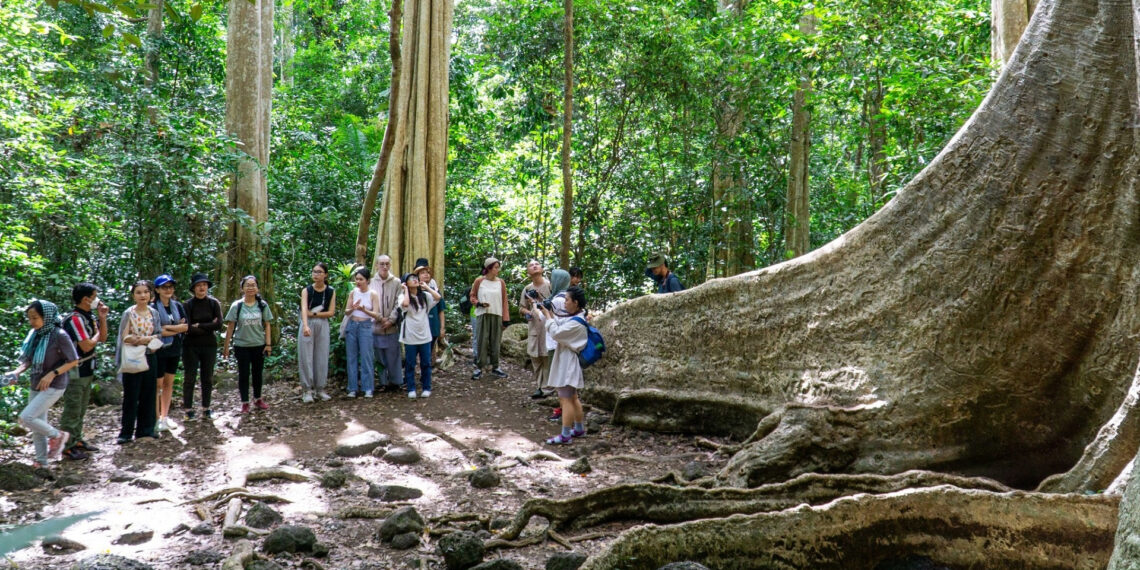 4 dia diem du lich gan tphcm dep nhieu trai nghiem thu vi dip tet binh ngo 2026 149.jpg