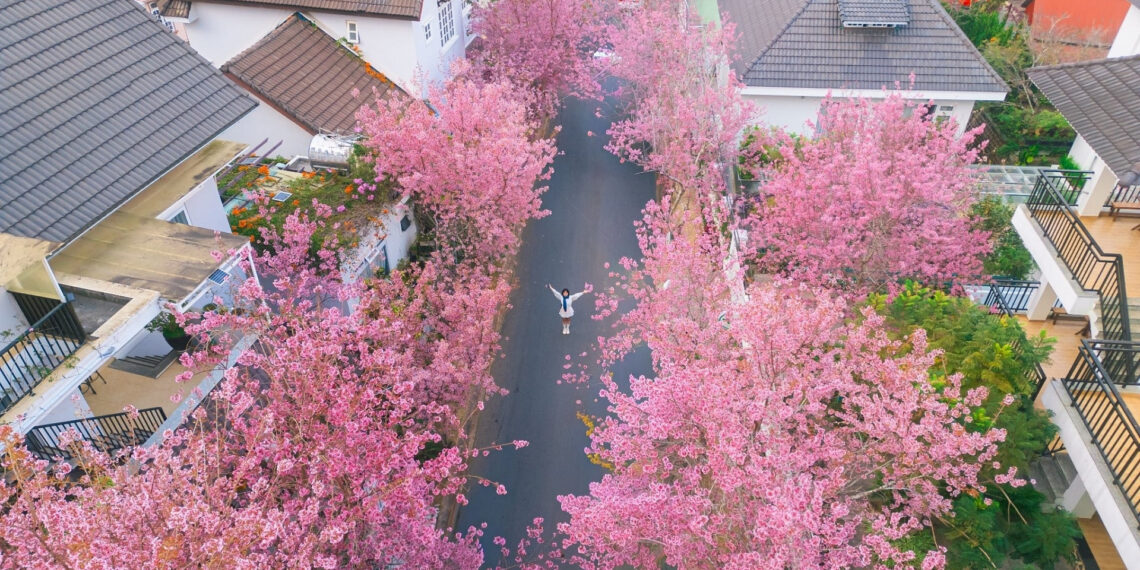 4 dia diem du xuan vui quen loi ve o mien trung dip tet binh ngo 2026 1559.jpg