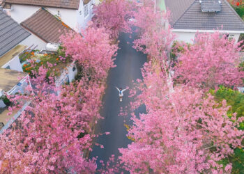 4 dia diem du xuan vui quen loi ve o mien trung dip tet binh ngo 2026 1559.jpg