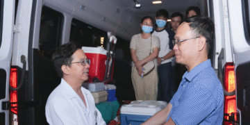 8 cuoc doi hoi sinh sau cau noi lay dong cua nguoi me con binh yen nhe 1746.png