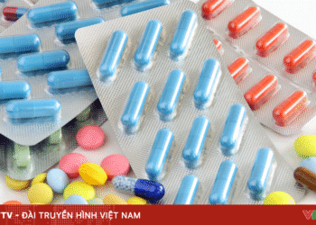 anh minh hoa 3 85786718483499101934623 92802235734351081217954.png