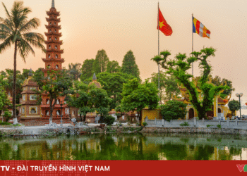 Lưu ý giữ sức khỏe cho người cao tuổi và trẻ nhỏ anh minh hoa 4 22849148725604670467887 48720221394776742404558.png