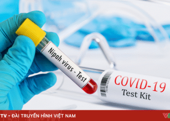 anh minh hoa 4 29725888007810326775083 30365714084970062630059.png