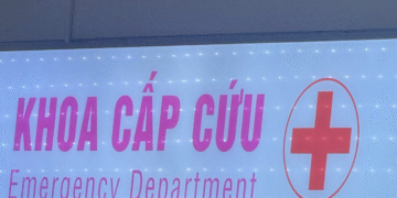 be gai 6 tuoi gap nan khi phu gia dinh don mam com tet 915.png