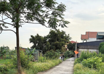 bo chi ro quy trinh giao dat o voi dat khai hoang chua co so do 1016.jpg