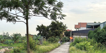 bo chi ro quy trinh giao dat o voi dat khai hoang chua co so do 1016.jpg