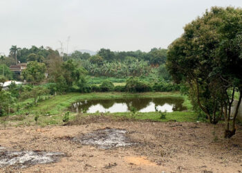 Bộ nói rõ trường hợp tính 30% tiền sử dụng đất khi chuyển đất vườn lên thổ cư bo noi ro truong hop tinh 30 tien su dung dat khi chuyen dat vuon len tho cu 1580.jpg