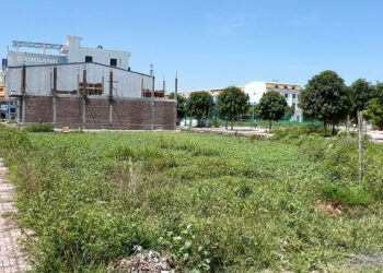 bo noi ro viec chuyen dat nong nghiep trong khu dan cu sang dat o 751.jpg