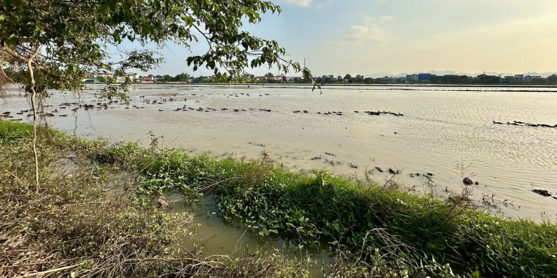bo noi ro viec tach thua dat phai dam bao co loi di 640.jpg