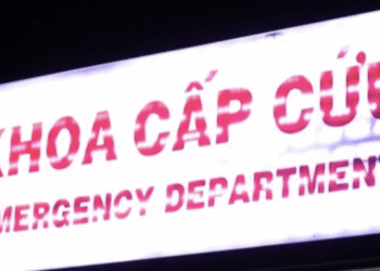 ca gia dinh o tphcm nhap vien sau bua com ca bien 266.png