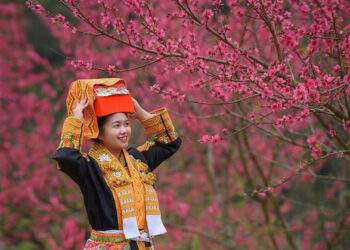 can tet nguyen dan den lang son trai nghiem le hoi hoa dao ruc ro 1347.jpg