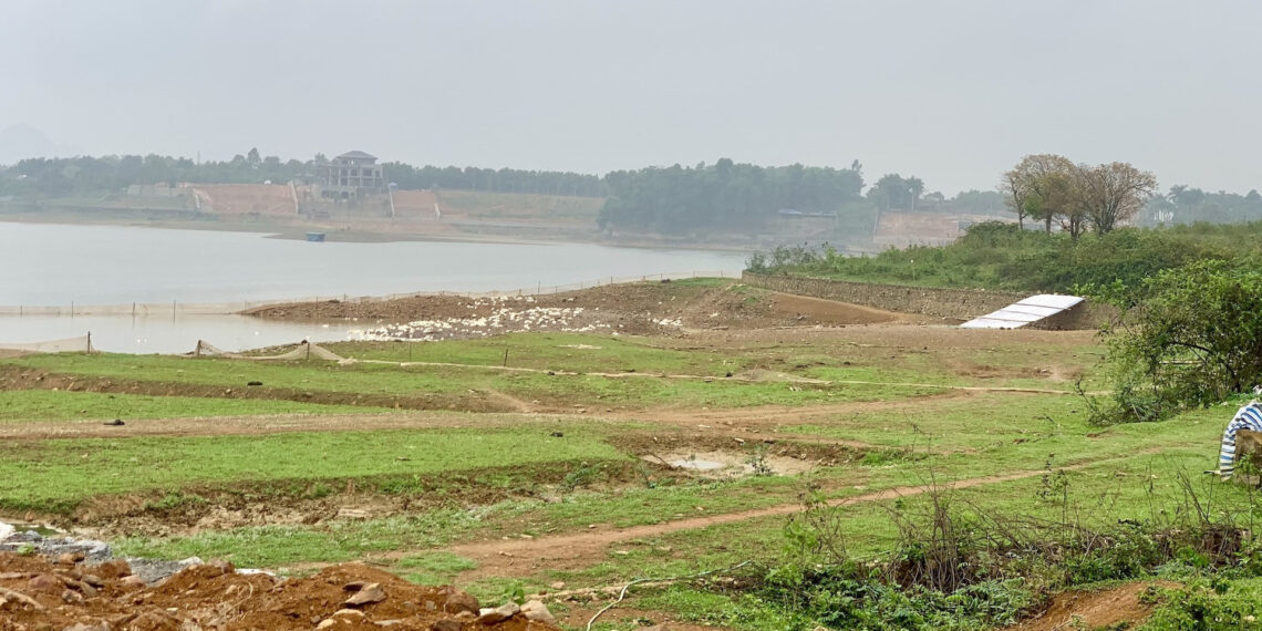 canh tac dat bai boi tu nam 1997 co duoc boi thuong khi thu hoi 189.jpg