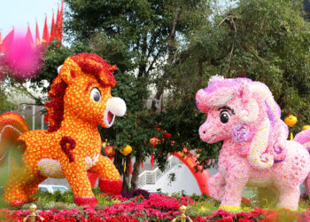 dai lo hoa ben vinh ha long ruc ro sac mau hut khach du xuan 1860.jpg