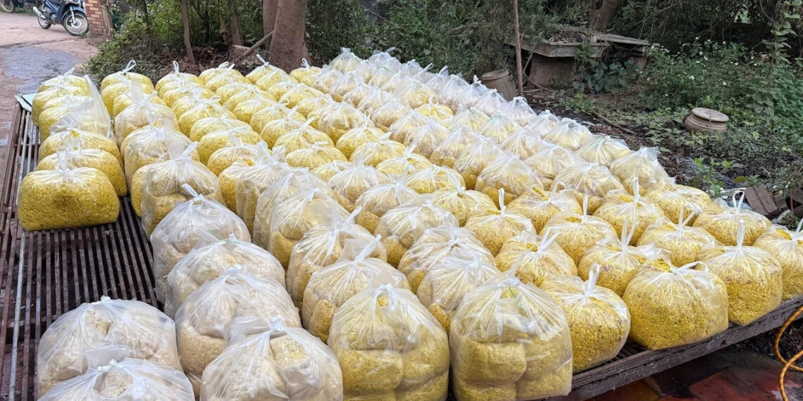 dieu gi xay ra voi co the khi mot nguoi an rieng xay tron chat cam vang o 2560.jpg