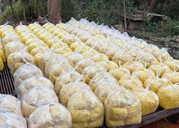 dieu gi xay ra voi co the khi mot nguoi an rieng xay tron chat cam vang o 2560.jpg