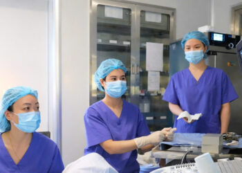 don tet binh ngo them co hoi lam cha me voi uu dai 50 chi phi ky thuat ivf 1587.jpg