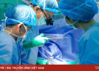 Trái tim từ Bắc vào Nam hồi sinh sự sống cho bệnh nhi dịp đầu xuân mới ghep tim 74347314070623419873505 73073556223582015858117.jpg