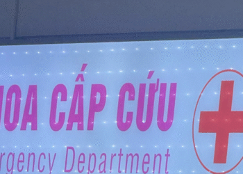 gia dinh nhanh tri cuu nguoi dan ong dot ngot cam khau luc nua dem 1008.png