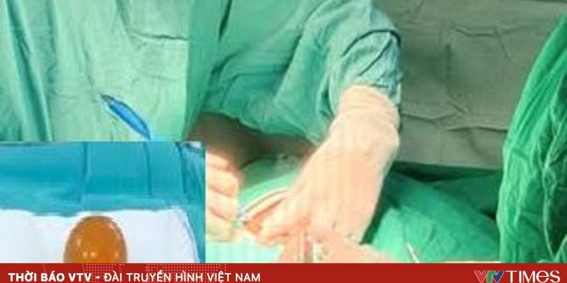 hat no 66962116946876215726180 46571759273189333659314.jpg