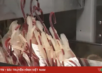 hien mau 01972288766475722417038 70989225131577129522836.png