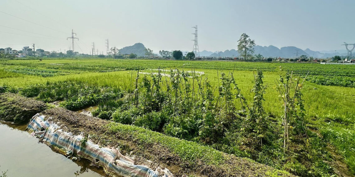 lam so do dat nong nghiep nguoi dan co phai nop ho so len tinh 1294.jpg