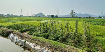 lam so do dat nong nghiep nguoi dan co phai nop ho so len tinh 1294.jpg