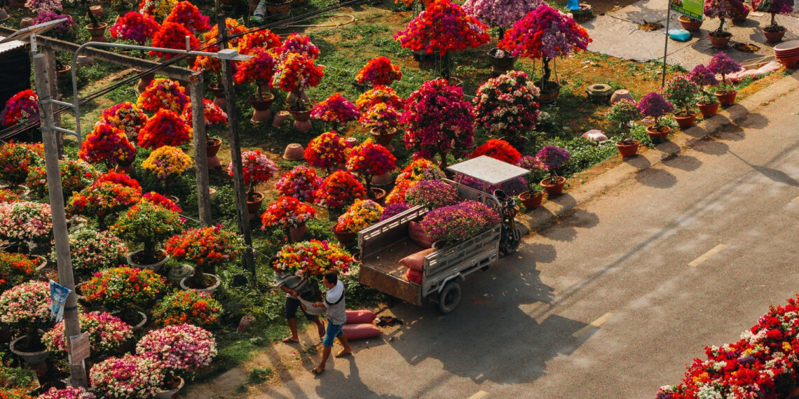 Làng hoa giấy đẹp mê ở Vĩnh Long dịp giáp Tết, khách vượt xa tới check-in lang hoa giay dep me o vinh long dip giap tet khach vuot xa toi check in 3236.jpg