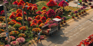 lang hoa giay dep me o vinh long dip giap tet khach vuot xa toi check in 3236.jpg