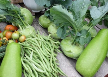 loai thuc pham co trong bua an cua moi vung truong tho 1989.jpg