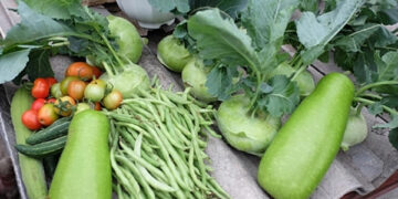 loai thuc pham co trong bua an cua moi vung truong tho 1989.jpg