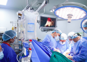 Mùng 6 Tết, 4 cuộc đời hồi sinh nhờ tạng hiến của chàng trai 21 tuổi mung 6 tet 4 cuoc doi hoi sinh nho tang hien cua chang trai 21 tuoi 920.png