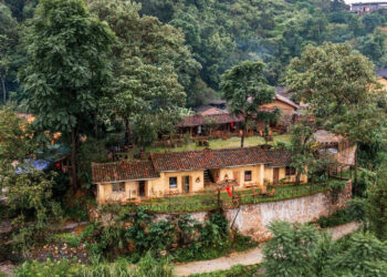 ngoi lang xinh dep duoi chan cot co lung cu khien co gai ha noi o tron 20 ngay 2333.jpg