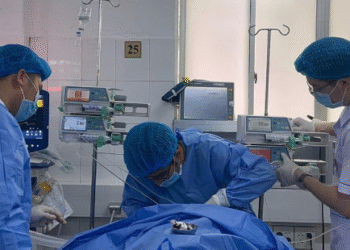 nguoi dan ong tre 9 phan tu vong vi mo mau cao 1151.png