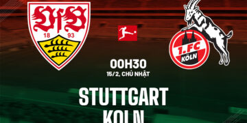 nhan dinh bong da du doan stuttgart vs koln vdqg duc bundesliga hom nay 1002225204.jpg