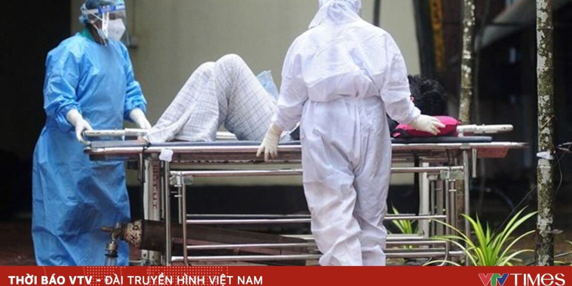 nipah 00501802952721391527790 50108694332760736122087.jpg