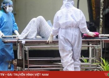 Ấn Độ ghi nhận ca tử vong đầu tiên do virus Nipah nipah 00501802952721391527790 50108694332760736122087.jpg