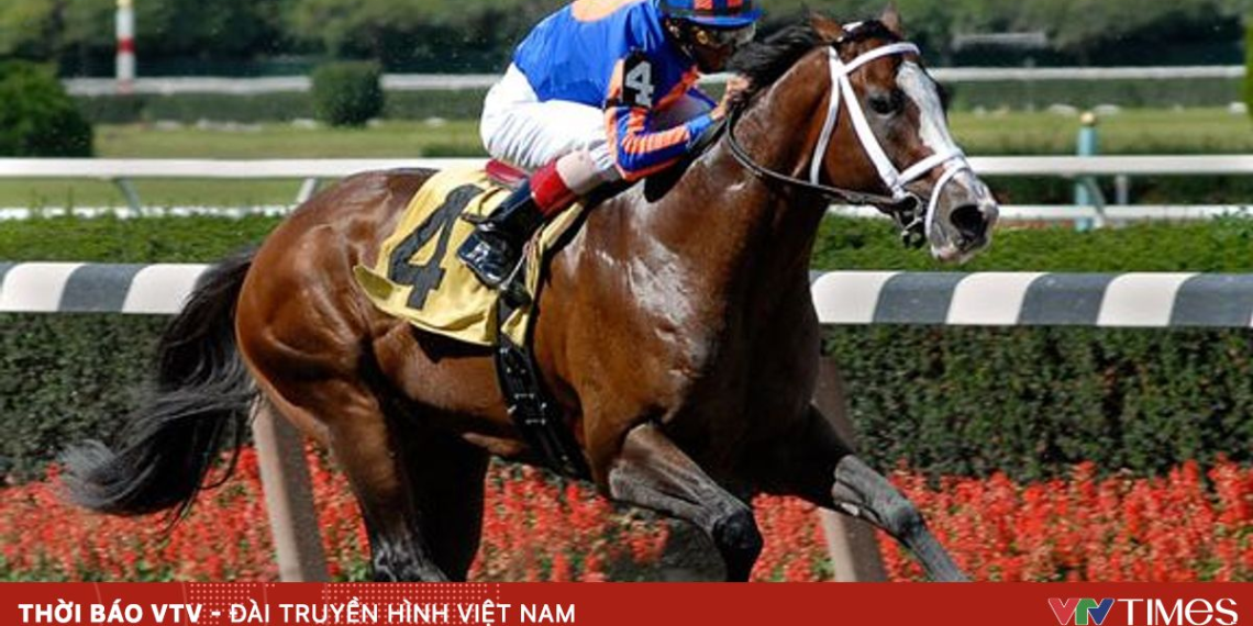 Những kỷ lục về giá trị của các chú ngựa đua trên thế giới package media 05492571500403191216339 93130362327486505214704.png