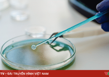 Bộ Y tế yêu cầu xử lý vụ nghi ngộ độc thực phẩm do ăn cá ủ chua tại Đà Nẵng package media 12502733926702112795183 81424765614405286038840.png