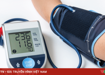 package media 15220088753662946278998 93761576850844158629169.png