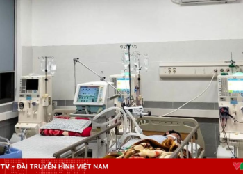 package media 20960247228565587957980 67593733505649761210354.png